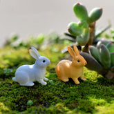 Enchanting Rabit Decor